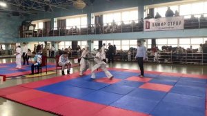 Карате киокушинкай карате