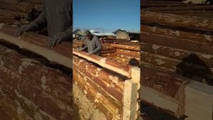 рубка сруба в чистый угол (ласточкин хвост)