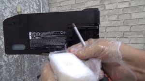 Замена абсорбера на принтере epson L1250(L1100, 3100, 3110, 3150, 3151, 3210, 3250, 5190, 5290 и тд