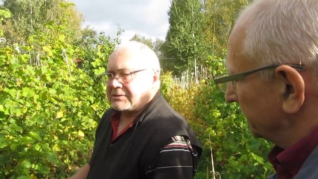 MVI 3212 Чугуев Ю М и виноград смотреть онлайн