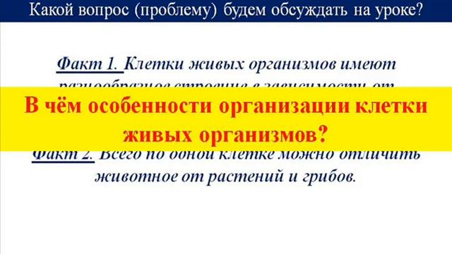 9 кл ОБЩАЯ БИОЛОГИЯ смотреть онлайн