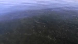 Тыва Кызыл озеро Хадын