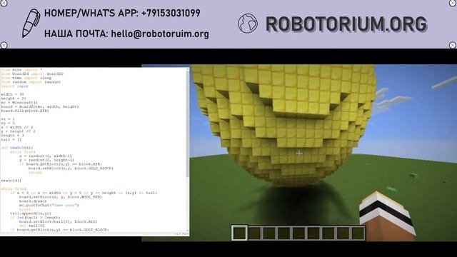 Программирование на Python и Snap в Minecraft