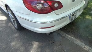Белый дым из выхлопной трубы с запахом бензина. Причина и диагностика