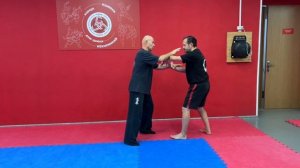 Ицюань Москва / Для чего Туйшоу / Туйшоу и удары / Усилия в Туйшоу (14-15 октября 2023) #10