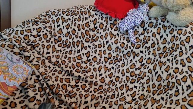 Как собрать самостоятельно мочу собаки на анализ? смотреть онлайн