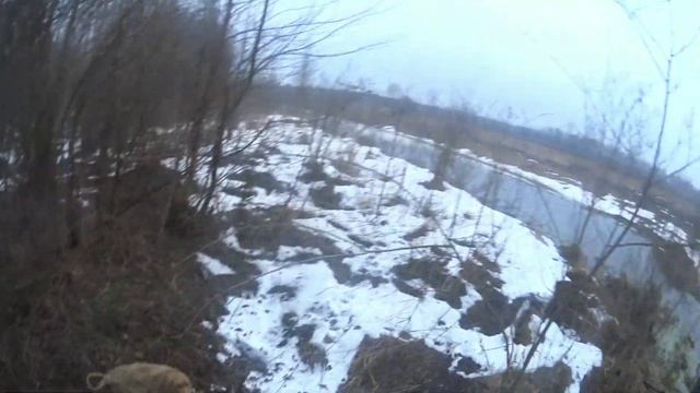 ОХОТА НА БОБРА КАПКАНАМИ. ВЛЕТЕЛ В КП-250. #охотанабобра#охотанабобракапканами#бобр#
