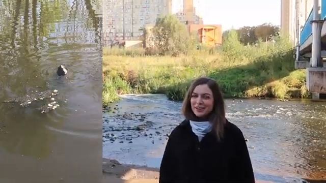 Куда поехать в Подмосковье 2022 Есть ли что посмотреть в городе Мытищи? Московская область
