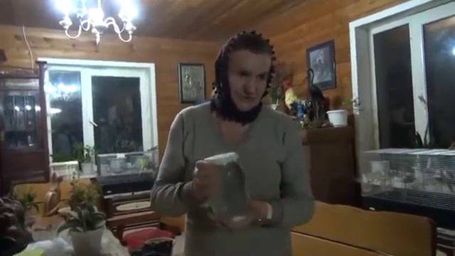 О лечении медным купоросом