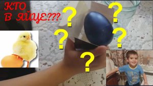 КТО ПОЯВИЛСЯ ИЗ ЯЙЦА???
