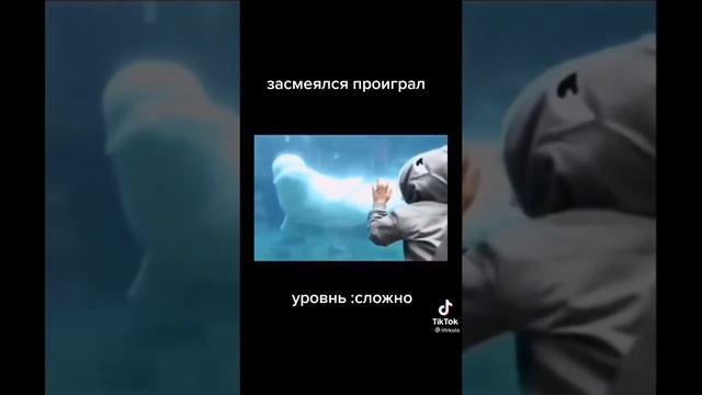 шутка на шутке☺️☺️ смотреть онлайн