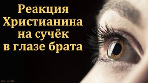 "Реакция Христианина на сучёк в глазе брата". С. А. Прокопенко. МСЦ ЕХБ