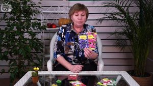 Из чего сделать букет зимой? ? Бессмертники и сухоцветы флористика сад огород