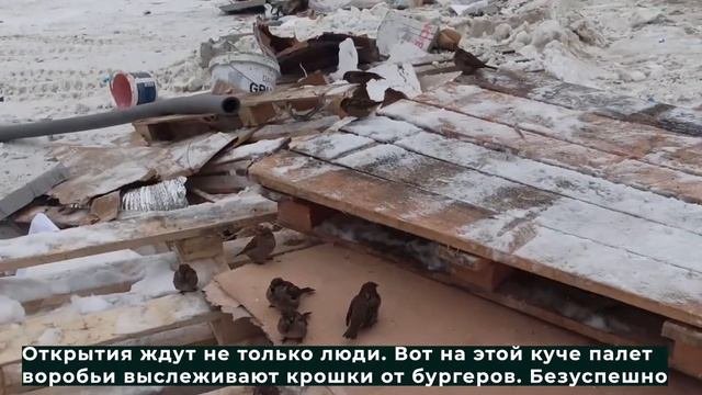 «Макдональдс» не открыли 22.11.2020