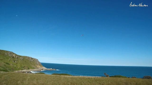 OMP Challenger 49 - Balsa Aerobatic trainer смотреть онлайн