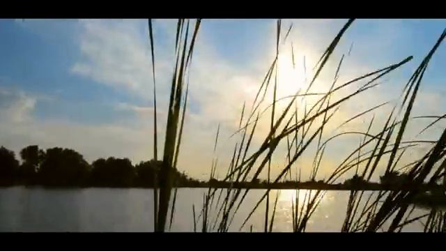 С.Есенин - "кто я, что я?" (читает С. Безруков) смотреть онлайн