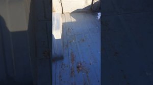 прицеп ММЗ 81024 капсула времен 33гадо отроду