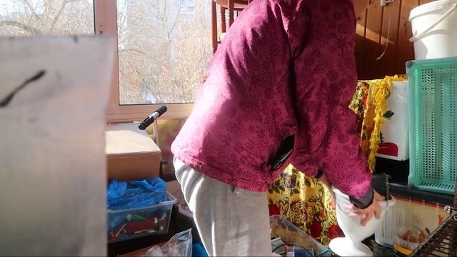 ВЛОГ: Взвешиваем кота /Ревизия на балконе /Наши выходные смотреть онлайн