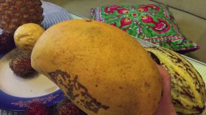 #3 Какие ФРУКТЫ можно ПРИВЕЗТИ из ШРИ-ЛАНКИ.