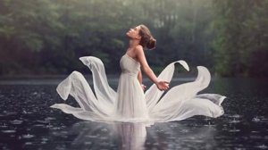 Программа  АУРА   звуковая атмосфера леса