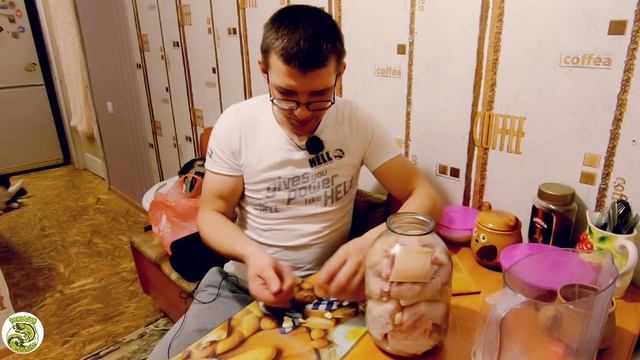 Рецепт сало в рассоле. Сало в банке