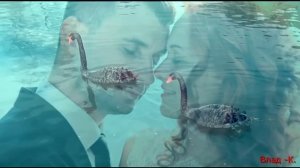 Вадим Крестный. - Два чёрных лебедя.