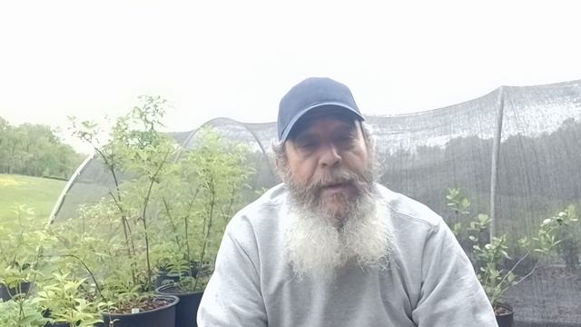 Welcome to SubTerra Organics смотреть онлайн