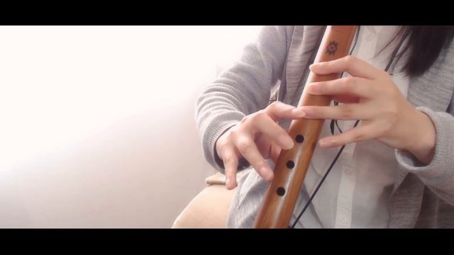 Auld Lang Syne / Native American Style Flute Cover смотреть онлайн