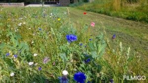 221. КАПОДИМОНТЕ, КАЙЗЕР. УНИКАЛЬНЫЕ СТАТУЭТКИ  из бисквитного фарфора!