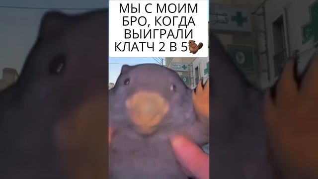 МЫ С МОИМ БРО, КОГДА ВЫИГРАЛИ КЛАТЧ 2 В 5🤣🤣🤣