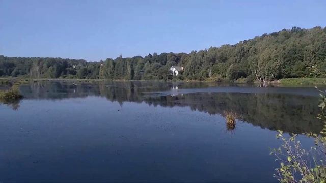 Майское озеро.  Поселок Майский, Светлогорск