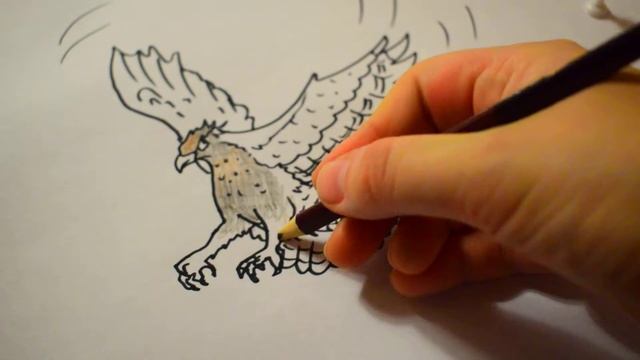 Рисуем орла смотреть онлайн