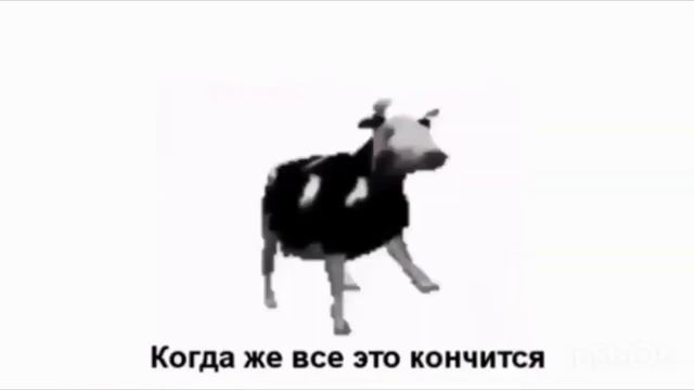 ПОЛЬСКАЯ КОРОВА ПЕРЕВОД на русский