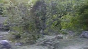 Крым. В горы на Ниве. Громовка.