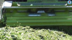 CLAAS Jaguar 850