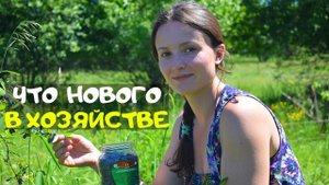 Купили дом в деревне. Что нового происходит в хозяйстве.
