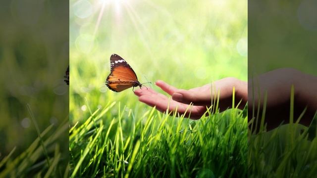 Мир создается посредством Животворящего Креста смотреть онлайн