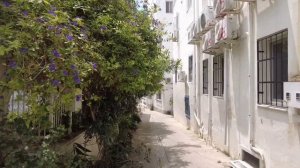 Бодрум. Июнь 2023. Красивый, и почти без Туристов