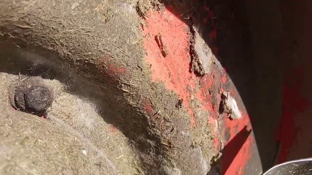 Ржавеет ли защитный кожух газонокосилки снизу? Четвёртый сезон работы, а ржавчины нет. ECO 633 смотреть онлайн