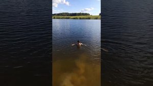 Нечаевские пруды