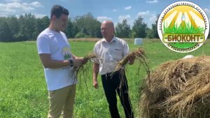 Заготовка сенажа в рулоны с использованием биоконсерванта Биоконт