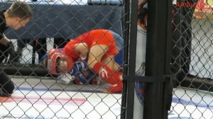 Турнир по ММА   Долгопрудный