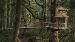 Быстрый сон с прекрасным дождем обеспечен