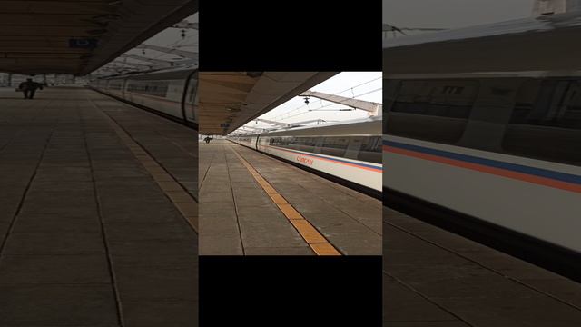 ПРИБЫТИЕ САПСАНА НА ЛЕНИНГРАДСКИЙ ВОКЗАЛ