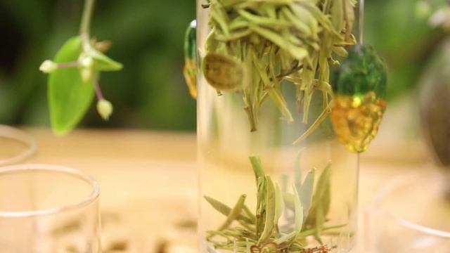 Заваривание зеленого чая Суй Я смотреть онлайн