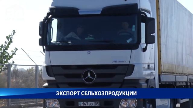 За пять месяцев Кыргызстан экспортировал 268 тыс. 727 тонн сельхозпродукции смотреть онлайн