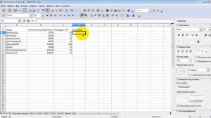 Занятие 8. Создание таблиц в OpenOffice Calc