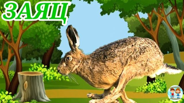 ЛЕСНЫЕ ЖИВОТНЫЕ ДЛЯ ДЕТЕЙ / Дикие животные / ЖИВОТНЫЕ РОССИИ