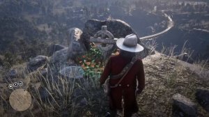 Сцена за 100% прохождение рдр 2