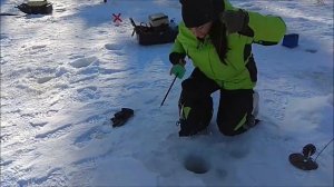 Приоритета в приманках практически нет, форель клюёт на всё... Клёвое место, Лосиный остров.